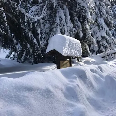 アパート Ferienwohnung-daeumler