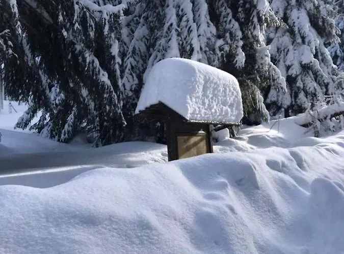 아파트 Ferienwohnung-daeumler